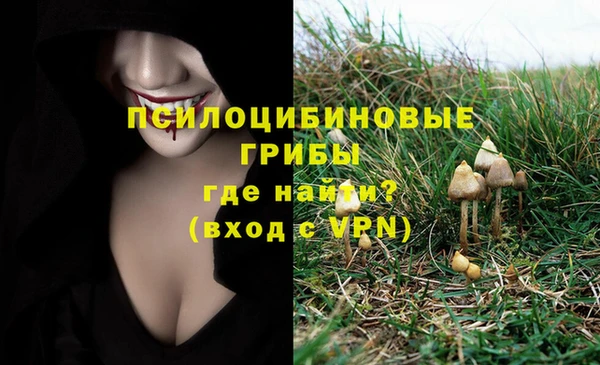 мескалин Алексин