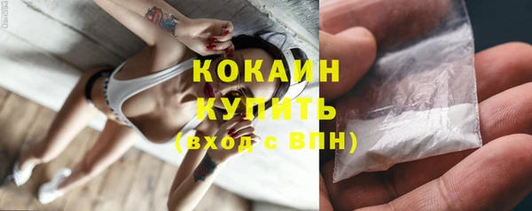гашик Алексеевка