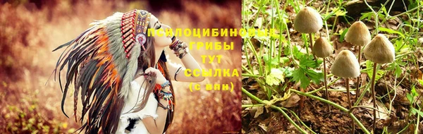 соль курить ск Алзамай