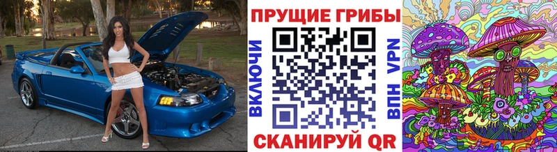 Галлюциногенные грибы прущие грибы  Межгорье 